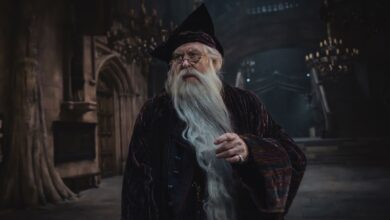 Harry Potter Returns as an HBO Series: Reviving the Beloved Holiday Tradition