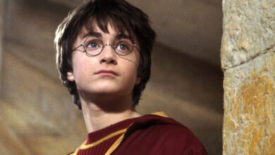 HBO's New Harry Potter Series Unveils the Full Quidditch Experience Fans Have Waited For
