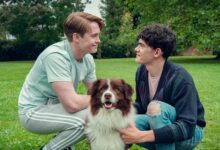 Heartstopper Forever on Netflix: Official Release Window, Story Insights, and What Fans Can Expect