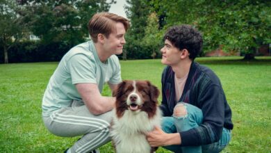 Heartstopper Forever on Netflix: Official Release Window, Story Insights, and What Fans Can Expect