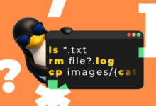 How to Effortlessly Organize Your Downloads Folder with a Smart Bash Script