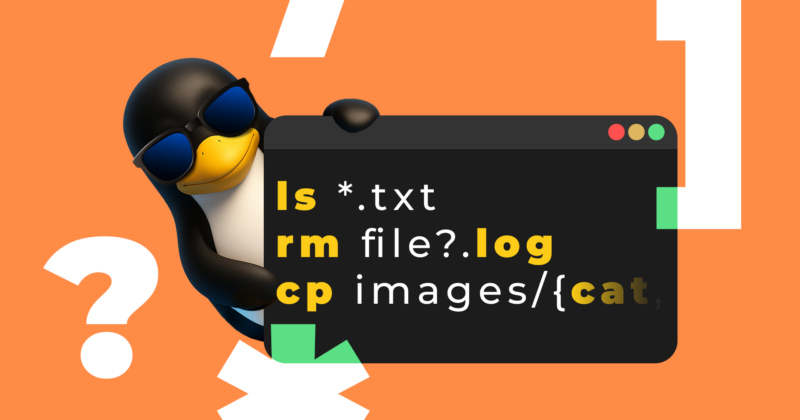 How to Effortlessly Organize Your Downloads Folder with a Smart Bash Script
