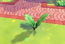 How to Get Leaves in Pokémon Pokopia: Essential Guide for Collectors and Crafters