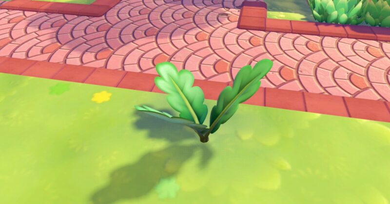 How to Get Leaves in Pokémon Pokopia: Essential Guide for Collectors and Crafters