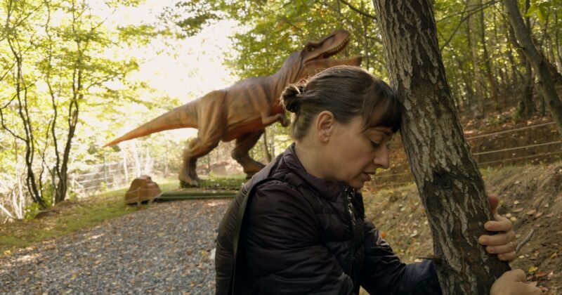 Kontinental 25: Radu Jude’s Savage Satire Peels Back the Cost of Urban Renewal