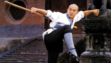 Martial Arts of Shaolin: Jet Li's Forgotten Masterpiece That Signaled a Major Shift in Kung Fu Cinema