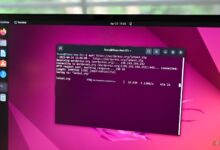 Mastering the Linux Command Line: How Everyday Use Teaches You Real Programming