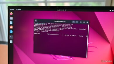 Mastering the Linux Command Line: How Everyday Use Teaches You Real Programming