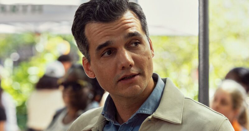 Mr. & Mrs. Smith: Prime Video’s Binge-Worthy Spy Thriller With a Standout Cast