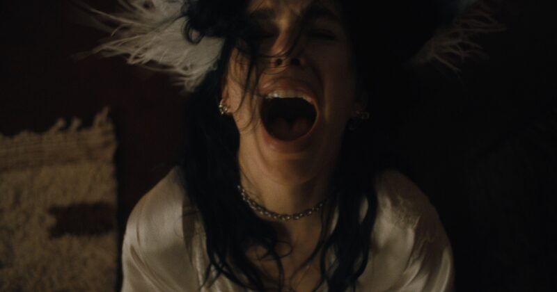 Netflix Unleashes Duffer Brothers’ Haunting New Horror Series: Something Very Bad Is Going To Happen