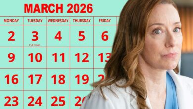 No New Episode of Doc Tonight: Why the Series Takes a Break and What's Coming Next