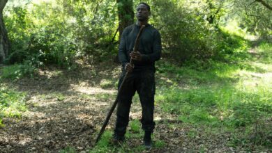 Paradise Season 2: Annie's Death and the Uncertain Fate of the Series