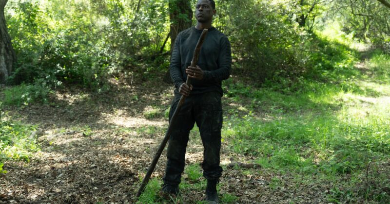 Paradise Season 2: Annie's Death and the Uncertain Fate of the Series