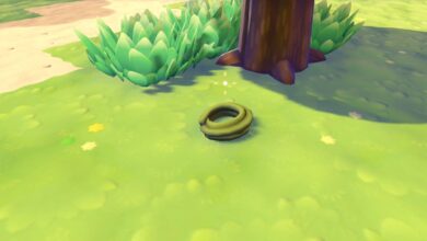 Pokémon Pokopia: The Ultimate Guide to Finding Vine Rope for Crafting