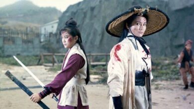 Rediscover Martial Arts Mastery: The Timeless Brilliance of The Lady Hermit & Its Secret Sequel Black Tavern