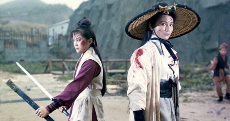Rediscover Martial Arts Mastery: The Timeless Brilliance of The Lady Hermit & Its Secret Sequel Black Tavern