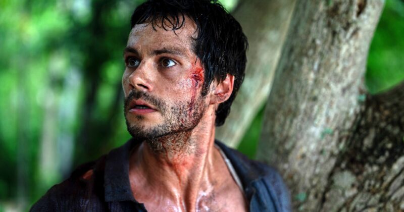 Sam Raimi’s Record-Breaking Thriller 'Send Help' Sets Digital Release Date: Where and When to Watch