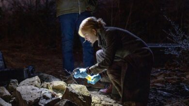 Scarpetta: How Prime Video's Crime Thriller Revisits the Legacy of Twin Peaks