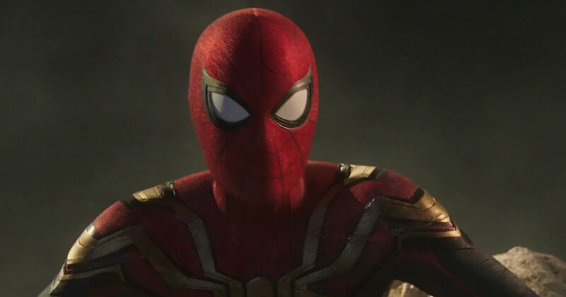 Spider-Man Stuns Fans With the Big Reveal of His Pirate Suit on Disney+