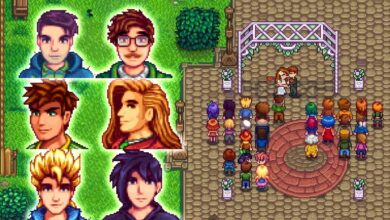 Stardew Valley Marriage Candidates: Deep Dive into Every Romancable Character’s Personality