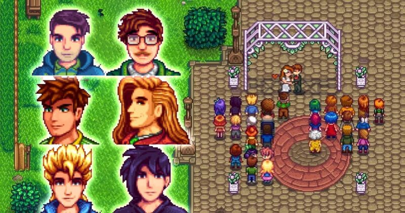 Stardew Valley Marriage Candidates: Deep Dive into Every Romancable Character’s Personality