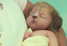 Sweet Tooth: The Uplifting Post-Apocalyptic Series Breaking the Netflix Mold