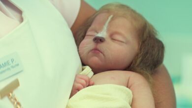 Sweet Tooth: The Uplifting Post-Apocalyptic Series Breaking the Netflix Mold