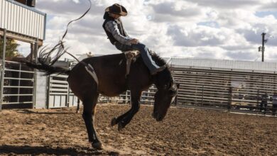 Taylor Sheridan Expands the Cast of 'Frisco King' With Iconic Yellowstone Talent and Rising Stars