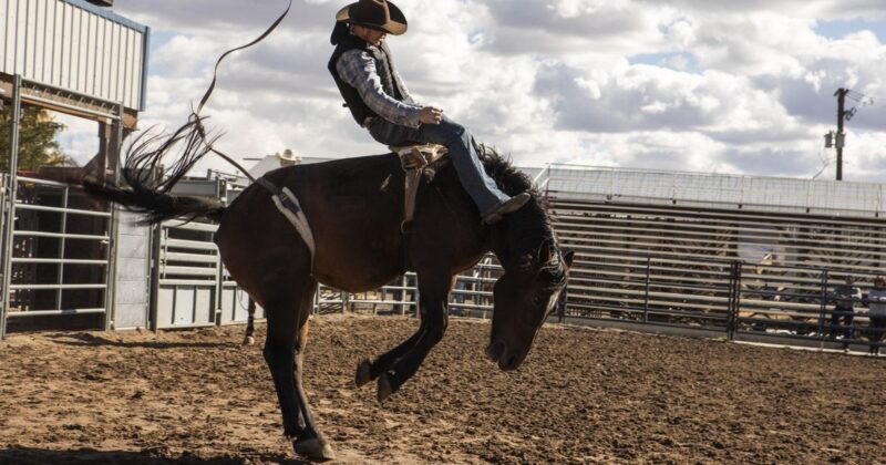 Taylor Sheridan Expands the Cast of 'Frisco King' With Iconic Yellowstone Talent and Rising Stars