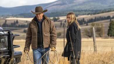 Taylor Sheridan: Ranking and Exploring Every Must-Watch Series From Yellowstone to Lioness