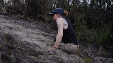 The Ascent: Mandy Horvath’s Extraordinary Climb and Her Unbreakable Will