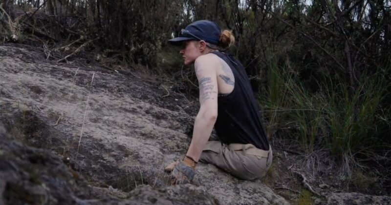 The Ascent: Mandy Horvath’s Extraordinary Climb and Her Unbreakable Will