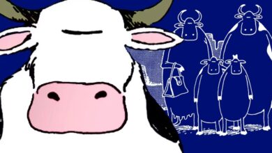 The Far Side: The Cartoons That Defined Gary Larson's Genius