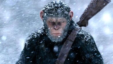 The Ultimate Ape Showdown: Why 'Kong on the Planet of the Apes' Remains a Sci-Fi Masterpiece