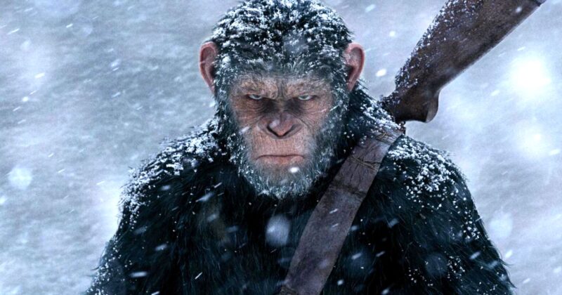 The Ultimate Ape Showdown: Why 'Kong on the Planet of the Apes' Remains a Sci-Fi Masterpiece