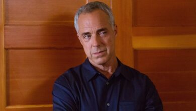 The Westies: Titus Welliver Returns to the Gritty Crime Drama Arena with a Fierce New Series on MGM+