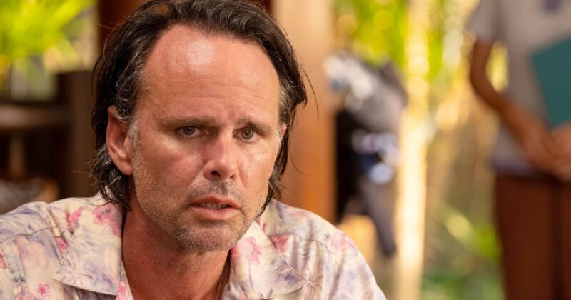 The White Lotus: HBO's Flawless Anthology Series That Redefines TV Perfection