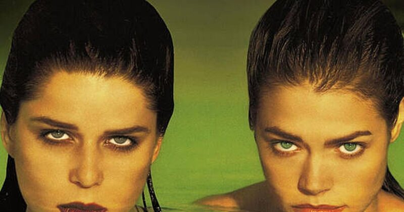 The Wildest Florida Films: Essential Movies Set in the Sunshine State