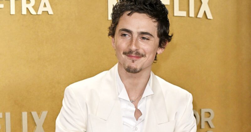 Timothée Chalamet and Brad Pitt Unite for Bold AI-Focused Film Adaptation