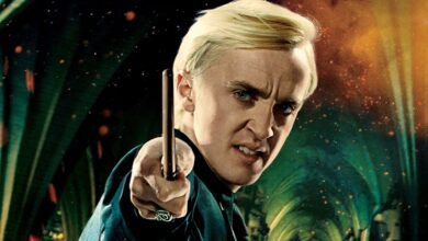 Tom Felton's Warm Welcome: How Draco's Original Actor Supports HBO's New Harry Potter Series