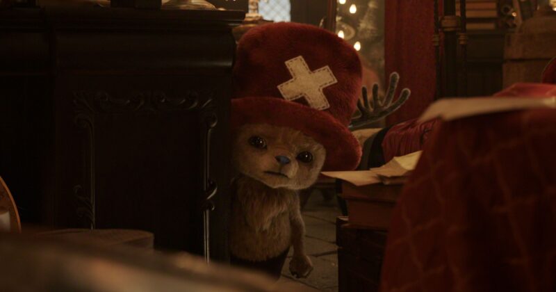 Tony Tony Chopper and the Truth About His Devil Fruit in One Piece: All Forms and His Hidden Power