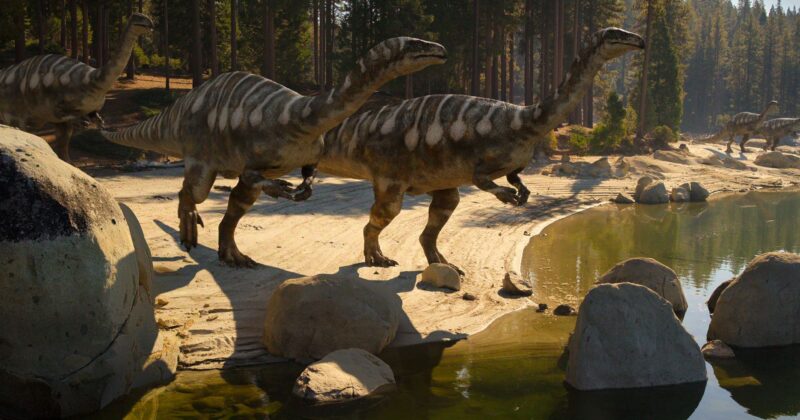 Why Apple TV+’s Prehistoric Planet Outshines Netflix’s The Dinosaurs for True Dinosaur Fans