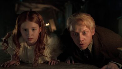 Why 'Guillermo del Toro's Cabinet of Curiosities' is Today's Must-See Horror Anthology on Netflix