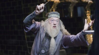 Why HBO's Baldur's Gate Series Faces a Bigger Challenge Than Harry Potter