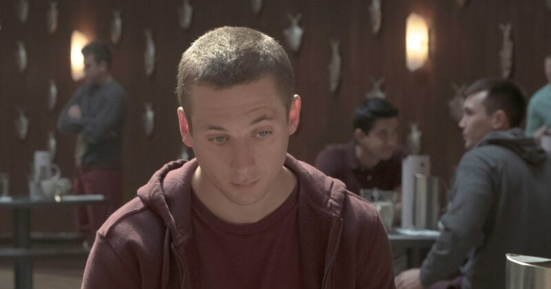 Why Homecoming Remains Prime Video’s Unmissable Psychological Thriller