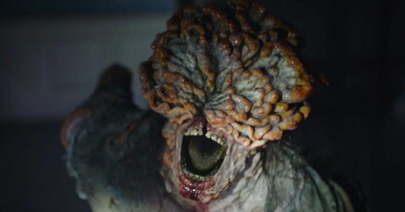 Why Kingdom on Netflix Remains the Gold Standard for Post-Apocalyptic TV