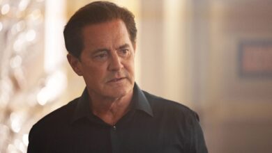 Why ‘The Lowdown’ Is Hulu’s Crime Series You Can’t Miss – Especially Now