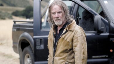 7 Detective Series That Have Become Cult Classics Over Time