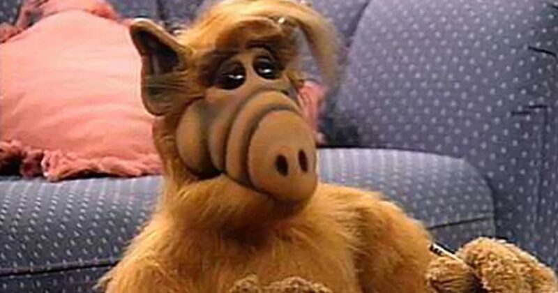 ALF: The Surprising Streaming Triumph of an Alien Icon in 2026