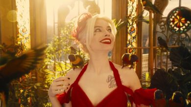 Amanda Waller's DCU TV Series: New Developments and What Fans Can Expect